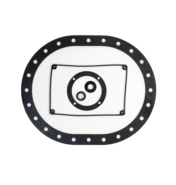 Seals & Gaskets India